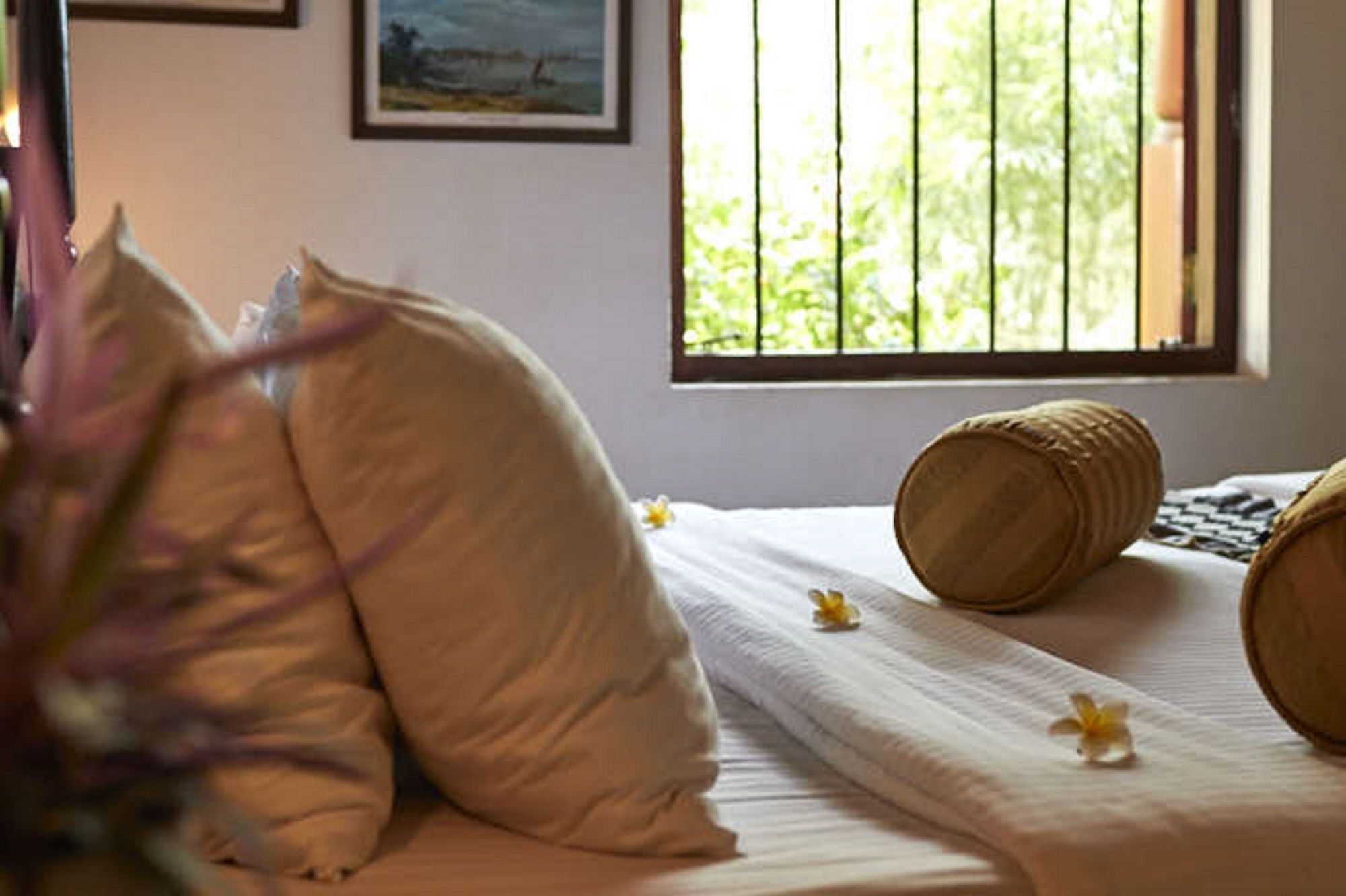 Villa Sunbird Negombo Buitenkant foto
